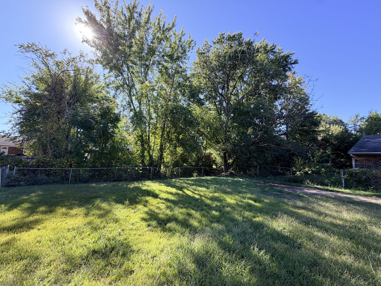 Back yard